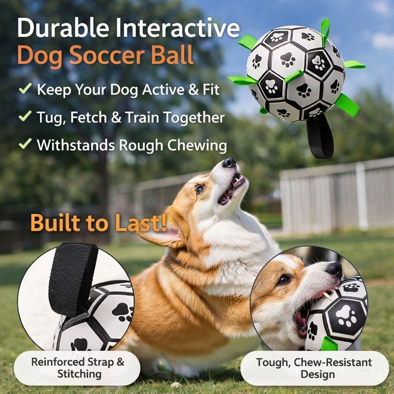 Best Interactive Dog Ball for High-Energy Dogs