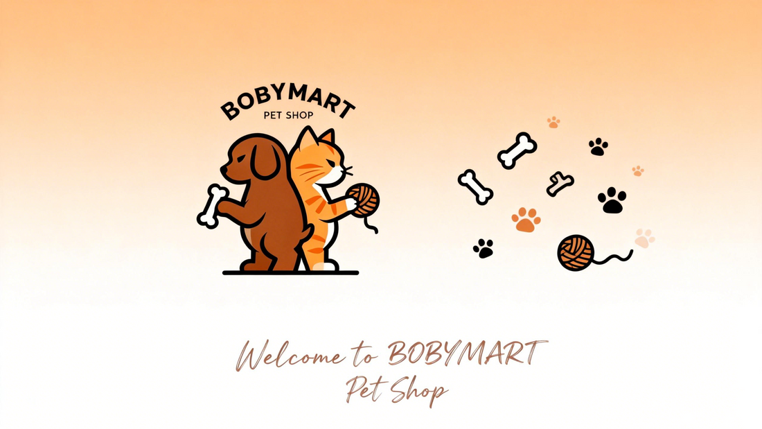Do Dogs Need Boots in Winter? A Practical Guide for Pet Owners - BOBYMART LTD